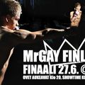 Qui sera Mr Gay Finlande 2013 ?