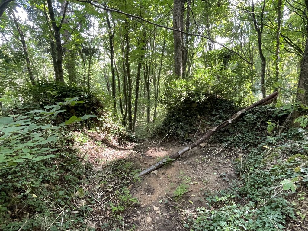 Mercredi 01 octobre 2025 Balade (en date du 27 sept 2025) dans les bois d'Enval jusqu'à la source Marie ,  Initialement exploitée au XIXᵉ siècle pour ses vertus médicinales, La source fut « perdue » vers 1920, puis retrouvée en 1999, Un aménagement (pompe à bras, restauration partielle) a été mis en place après sa redécouverte, le retour harde pour moi mais j'ai poursuivi  au village