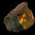 World's finest piece of uncut opal finds new home at the South Australian Museum