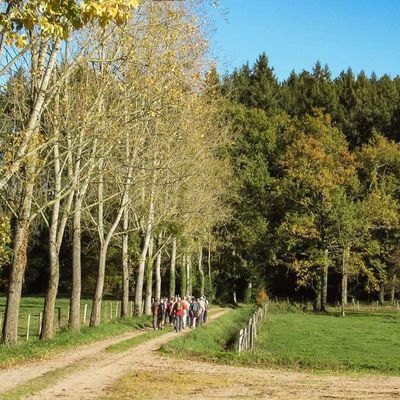 Randonnée du mardi 04 novembre après-midi - Isserpent