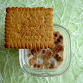 yaourts maison allégés aux biscuits minceur diététiques et hyperprotéinés à seulement 80 kcal (sans sucre et riches en fibres)