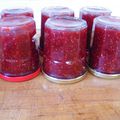 Confiture Framboise-Rhubarbe