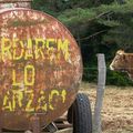 Una istòria del Larzac sens l'occitan