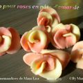 Tuto pour roses en pâte d'amande