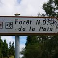 Le sentier botanique de Notre Dame de la Paix