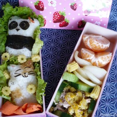 2011: L'odyssée du Bento (Phase 1 - Part 2)