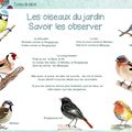 Les oiseaux du jardin