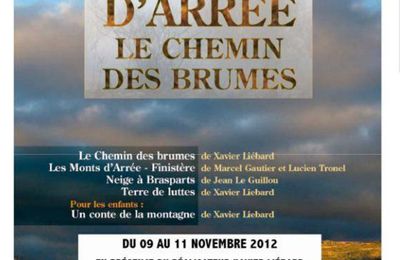 Le chemin des brumes de Xavier Liébard