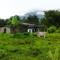 Voyage en Sulawesi - Visite le village de Wolohan et ses chalets de bois Minihasa