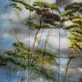 Claire Basler