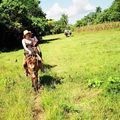 Vinales - randonnée à cheval