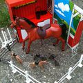 Le cheval de Barbie