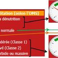 Calcul IMC (interprétation Jauge)