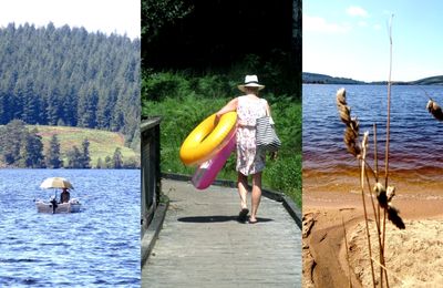 Triptyques du lac de Vassivière (Creuse) : entre Broussas et Masgrangeas le 2 août 2024 (2)
