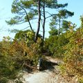 Balade sur le sentier du littoral d'Arès