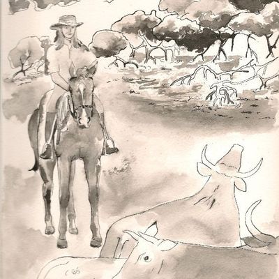 GRANDE TERRE à Amadeus