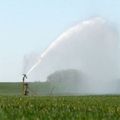 SECHERESSE EN CHARENTE : DE NOUVELLES RESTRICTIONS DE L'IRRIGATION