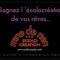 ECOLOCREATION, on attendait et enfin la boutique est ouverte...