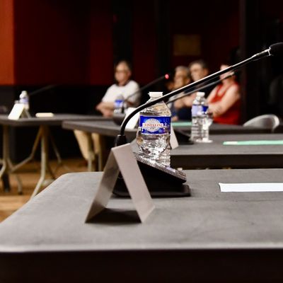 CONSEIL MUNICIPAL : LES CHINOISERIES DU RN.