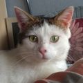 [GRIF' Abrite] Qui pour m'abriter du froid? Panda.
