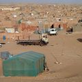 Les violations des droits de l'homme dans les camps du Polisario à Tindouf dénoncées au parlement britannique