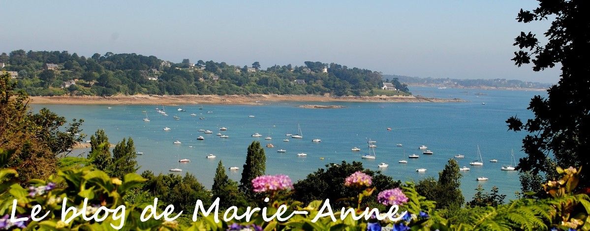 le blog de Marie-Anne56