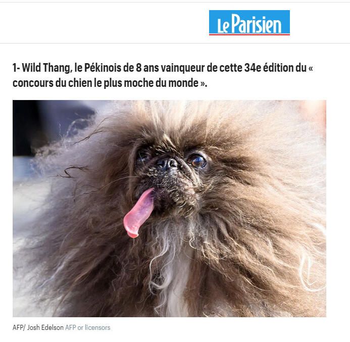 Bravo siensien