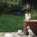 Peter rabbit and friends in Eyden garden 