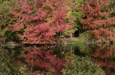 Le Pense-jardin des travaux à faire en octobre