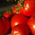 La dépression, une tomate par jour réduit de moitié le risque
