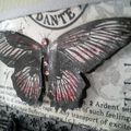 Papillon vintage et antique Pink