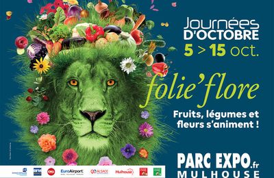 Actualités, événements, sorties en Octobre