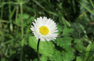 Célébrons l'équinoxe