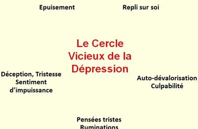 Plantes : des antidépresseurs et anxiolytiques naturels