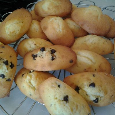 MADELEINES INRATABLES 