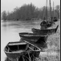 Barques de Loire