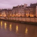 La lionne, sa cage et le crépuscule sur la Seine