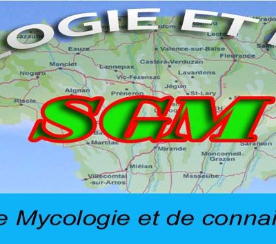 Mycologie gersoise