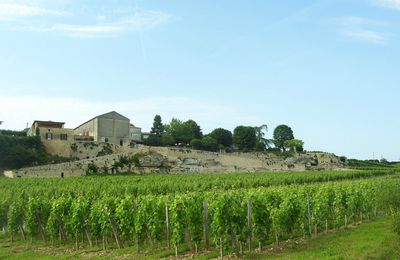 Les données météorologiques du millésime 2012 à Bordeaux et ses conséquences sur le vignoble