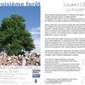 La troisième forêt - Exposition Laurent Cerciat - médiathèque Grenade sur l'Adour