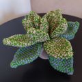 #Crochet : La succulente Echevaria bicolore - PATRON GRATUIT