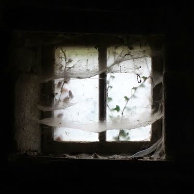 La fenêtre ne s'ouvre plus Voilée dans les