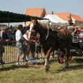 Fete du Cheval Boulonnais - Wimereux 2007