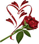 la rose une fleur d'amour ,belle et surtout qui