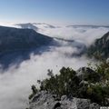              Gorges du Verdon: les vautours