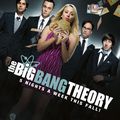 Big Bang Theory - promo saison 5