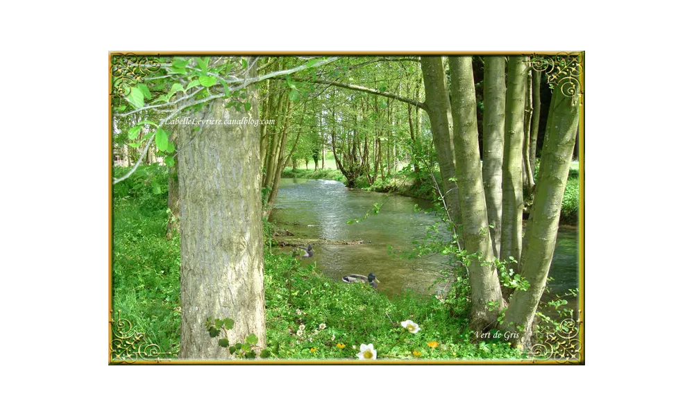 Les ponts de Bézu St Eloi