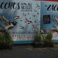 Les Zaccros d'ma rue 2017, à Nevers (58) - (7)
