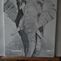 138  -  L'éléphant, sur toile,