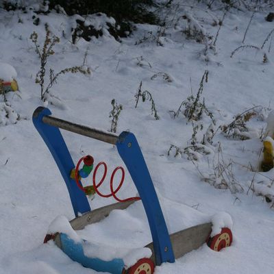Le jardin sous la neige